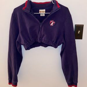 Walt Disney Vintage Custom Cropped Zipper Sweater